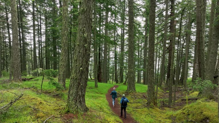 Couple hiking in a lush green forest