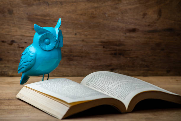 istock owl doll with an open book. concept of wisdom and knowledge. 1410102572