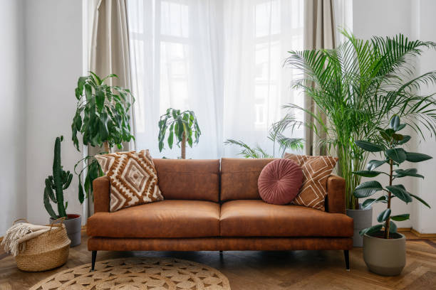 istock Brown sofa, potted green plants and wicker basket in room 1410106317