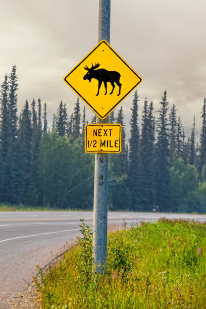 ムース警告サイン アラスカ州フェアバンクスの煙の日に高速道路で次の1.5マイル - moose crossing sign ストックフォトと画像