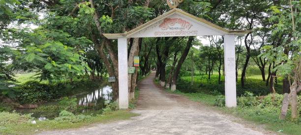 istock Beautiful green plant  park entry point 1410109612