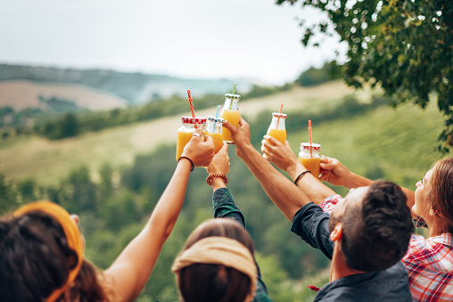 friends cheering orange juices outdoors togetherness