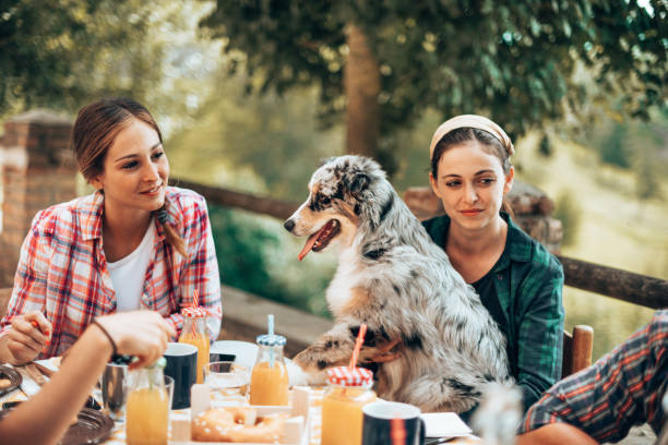 istock friend at home doing an afternoon picnic 1410111052