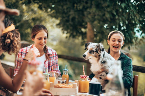 istock friend at home doing an afternoon picnic 1410111127