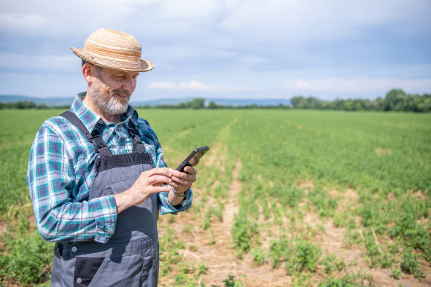 istock Cheerful farmer in alfalfa field. 1410113828