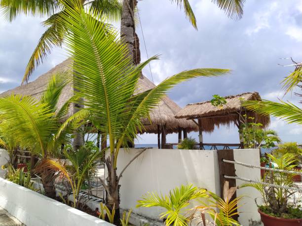 istock Port in Puerta Maya - Cozumel, Mexico 1410115466