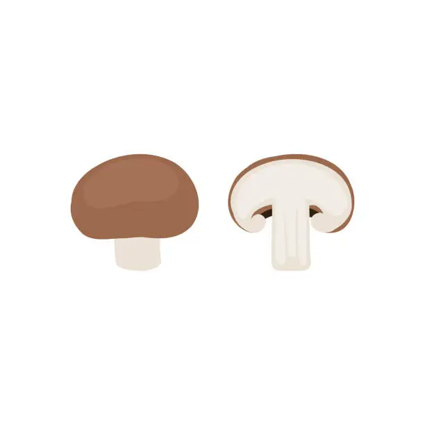 Vector illustration of Cremini portobello mushrooms, brown champignon