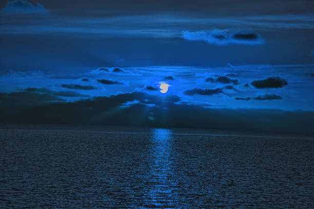 istock Blue hour over the Wadden Sea 1410117257