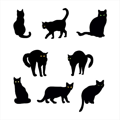 black cats, collection of elements for Halloween design, set of black cats
