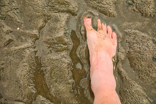 Germany, Pellworm, June 2022, Foot in the mud