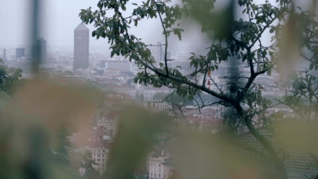 Wide angle shot behind foliage of the Lyon city in France, beautiful cinematic view in forecast day with steadicam movement, daylight.