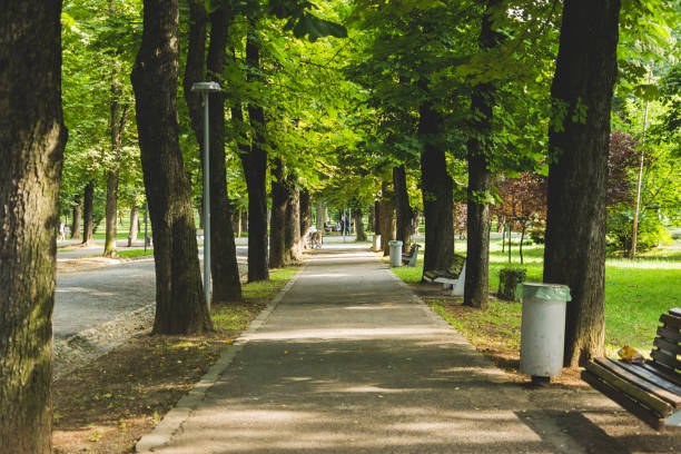 istock View of a green park alley 1410122549