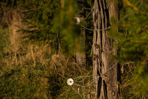 istock Old Electric Fence 3 1410122612