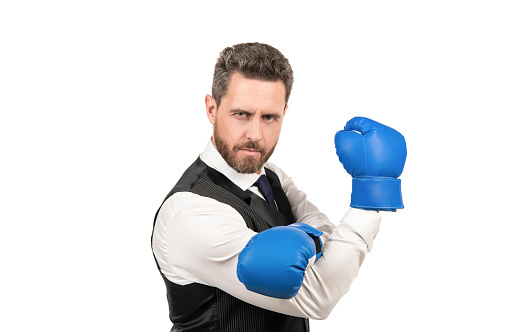 strong businessman in boxing gloves isolated on white background, success.