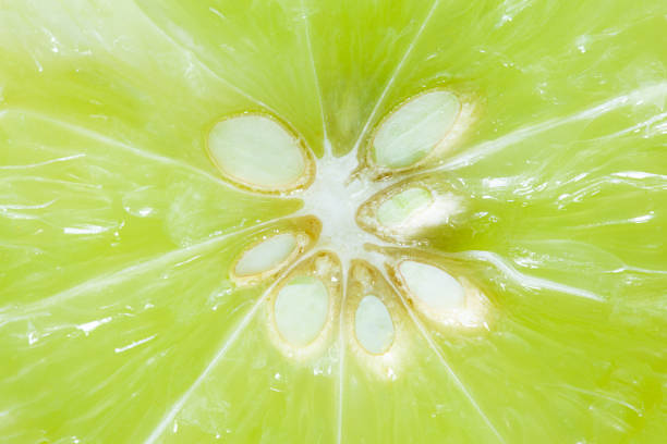istock Macro Lime,Macro close up surface texture Juicy slice of lime 1410136670