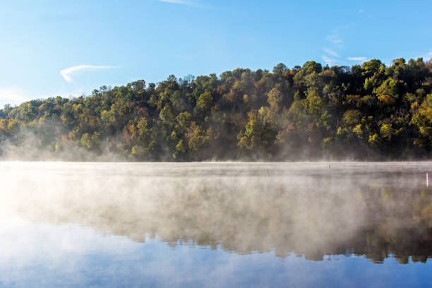 Fog over a lake stock photo