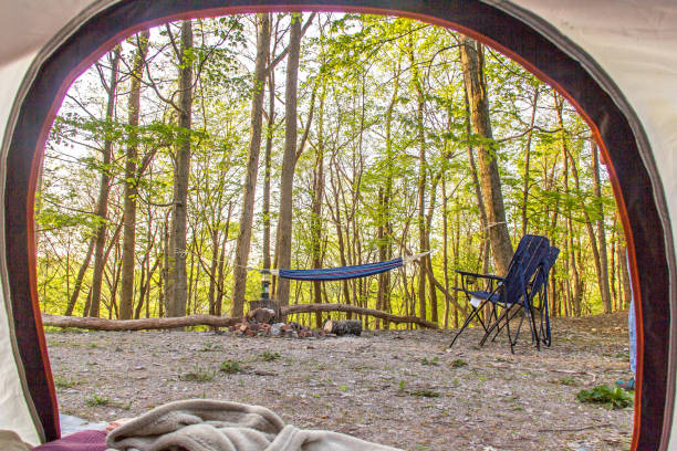 View of trees from inside a tent while camping stock photo
