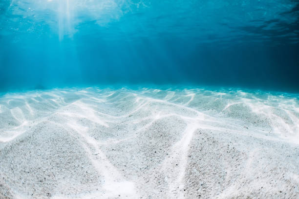 istock Underwater transparent blue ocean with sandy bottom and sun rays in Hawaii 1410140976