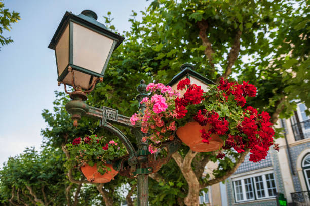 istock flower pots in a street lamp 1410142661