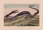 istock Mosasaurus, aquatic squamate reptile, Late Cretaceous, chromolithograph, published in 1900 1410143779