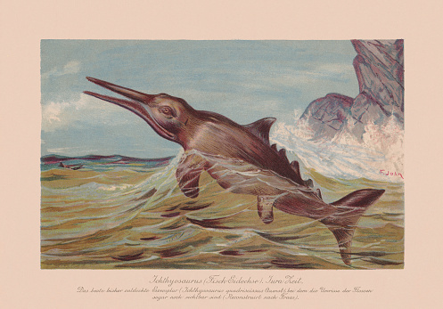 Ichthyosaurus - a genus of ichthyosaurs from the Early Jurassic. Chromolithograph after a drawing by F. John, published in 1900.