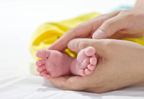 young family of mother of the father and kid. Mother and the father hold legs of the newborn child in the palms.