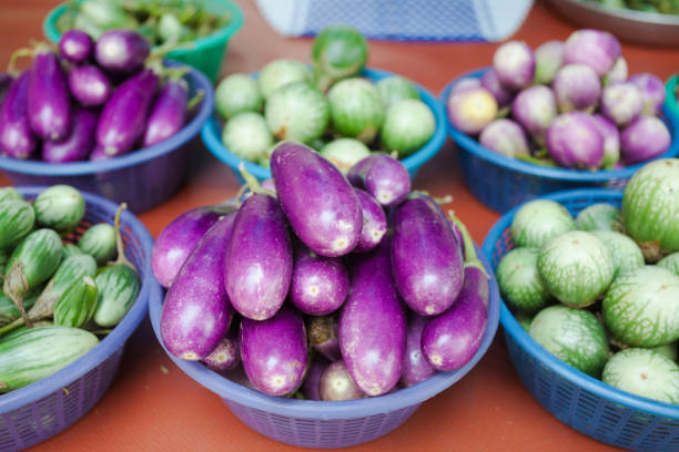 Purple and green thai aubergines Purple and green thai aubergines EGGPLANT stock pictures, royalty-free photos & images