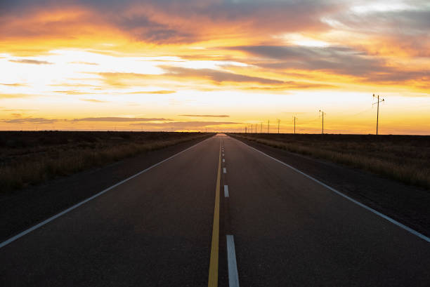 istock Route in the Pampas plain, Patagonia, Argentina 1410148634