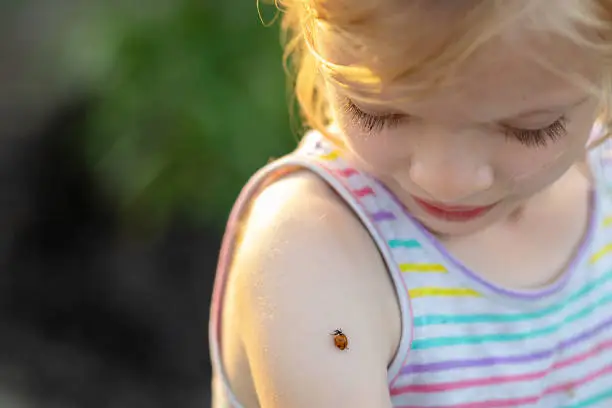 Photo of A little girl on the background of a green field looks at a ladybug on her hand