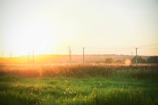 puesta de sol de verano en el campo (con postes eléctricos) - grass area grass summer horizon fotografías e imágenes de stock