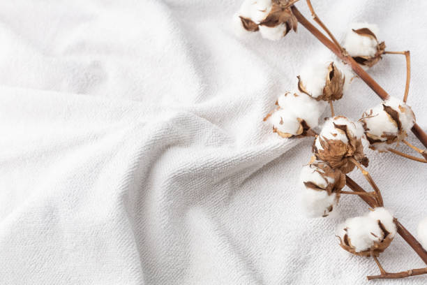 istock Branches of cotton on a white bath terry towel 1410152665