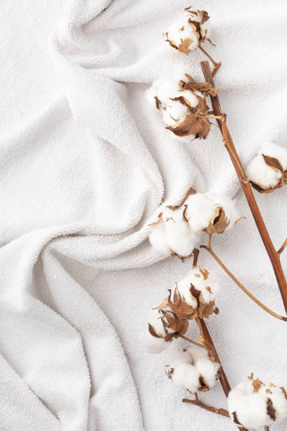 istock Branches of cotton on a white bath terry towel 1410152669