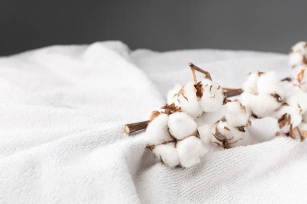 istock Branches of cotton on a white bath terry towel 1410152672