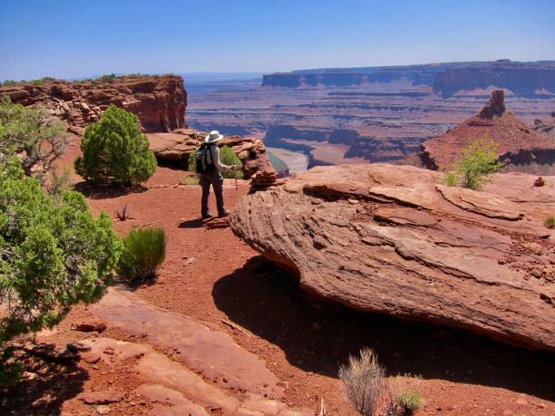 istock Colorado River viewpoint from a mesa near Moab 1410155560
