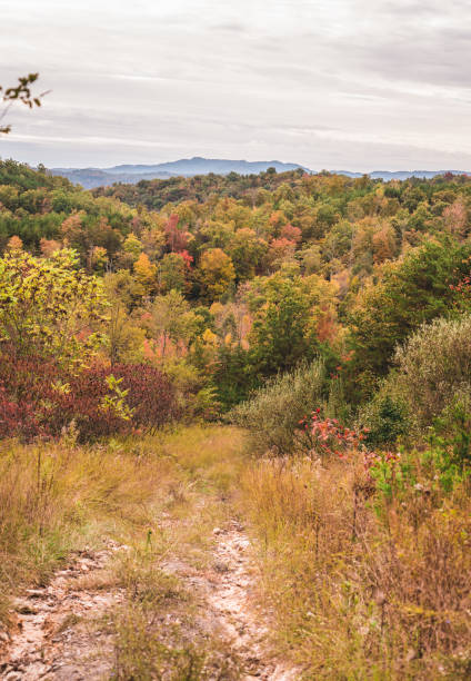 istock Tennessee Roadside - Autumn 1410155777