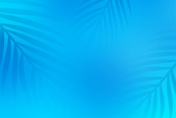 ilustraciones, imágenes clip art, dibujos animados e iconos de stock de fondo azul de palmeras de la piscina de verano - palm leaf leaf palm tree frond