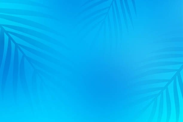 ilustrações de stock, clip art, desenhos animados e ícones de blue summer pool palms background - palm leaf leaf palm tree frond