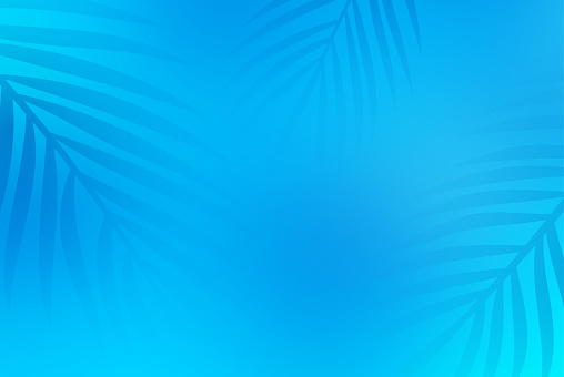 Palm tree summer blue water pool background tropical banner.