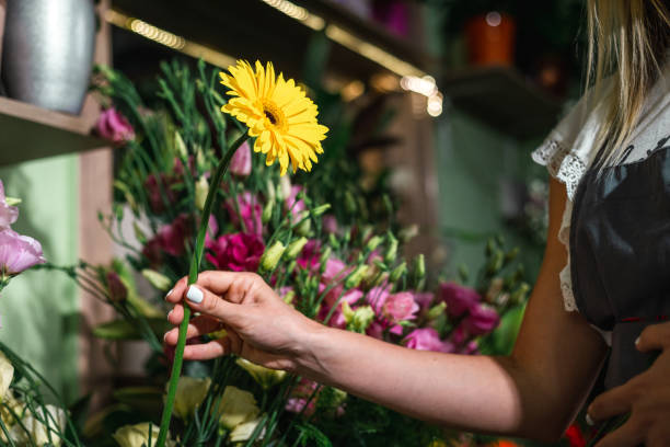 小売花屋 - flower arranging ストックフォトと画像