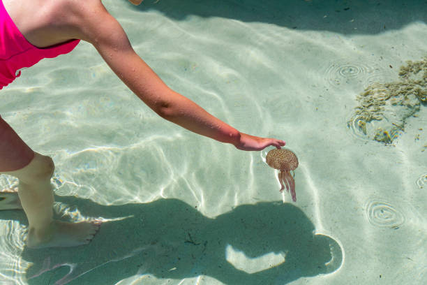 istock Getting to know the marine life 1410157114