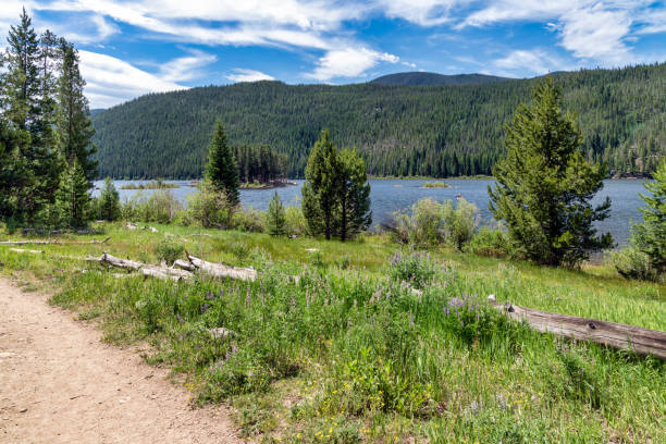 istock Colorado nature landscape 1410157172