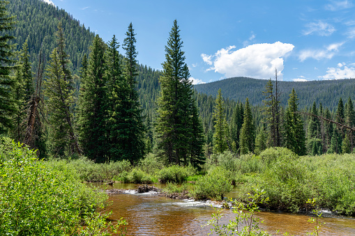 Colorado nature landscape