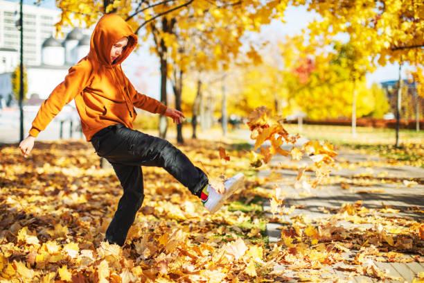 istock Child throwing up yellow autumn leaves in park 1410158100