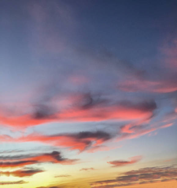 壮観なアリゾナの夕日、パパゴ公園、ソノラ砂漠、アリゾナ州 - papago ストックフォトと画像