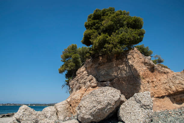 istock Rocky shore of sea bay 1410160383