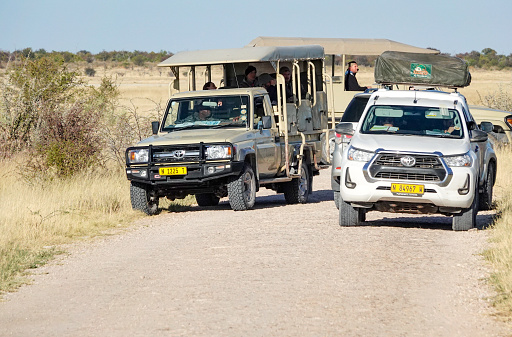 Wildlife Observation at Etosha National Park in Kunene Region, Namibia, with many tourists visible.