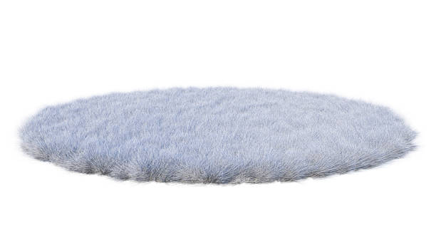 istock A 3d rendering image of product display on white fur 1410161499