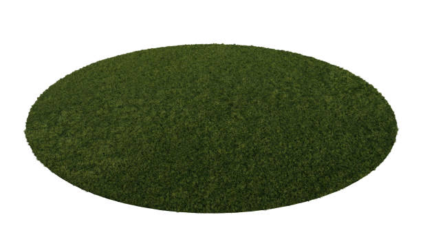 istock 3ds rendering image of grasses field. 1410161525