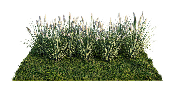 A 3d rendering image of a lot of grass flower on green grass field