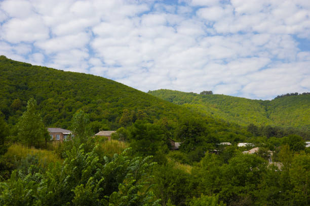 istock Houses in the forest in a rural area 1410161682